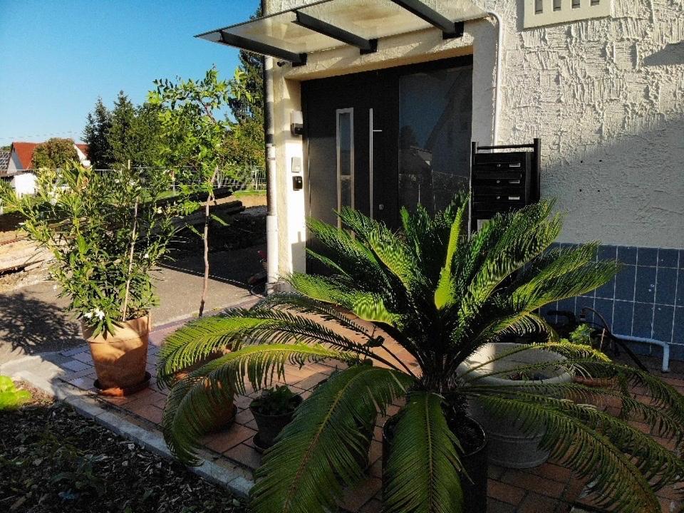 Gemuetliche 3 Zimmer Wohnung Mit Grosszuegiger Terrasse Im Gruenen Ройтлінген Екстер'єр фото
